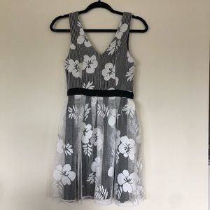 Francesca’s Fit & Flare dress